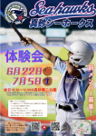 6月・7月体験会のお知らせ